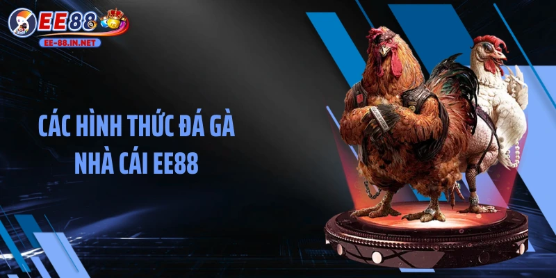 Các hình thức đá gà nhà cái EE88