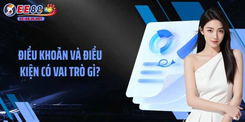 Điều khoản và điều kiện có vai trò gì