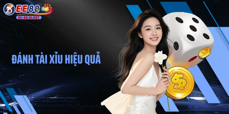 Đánh Tài Xỉu Hiệu Quả: Chiến Thuật Húp Trọn Tiền Thưởng